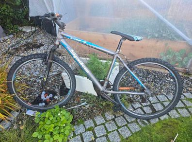 Adults Bicycle