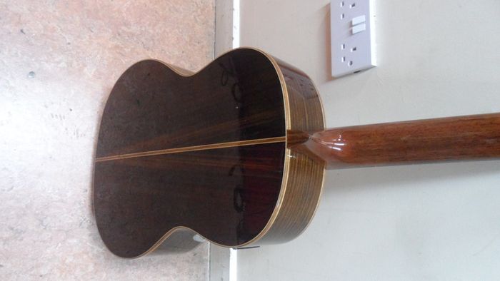 Ortega Electro-Classical Guitar (RE159RWSN)