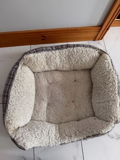 Dog Bed
