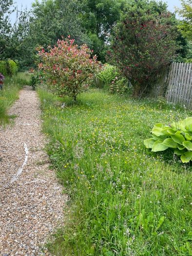 Grass Cutting & Garden Maintenance