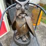 Bronze owl Image 2
