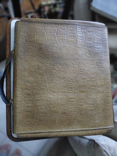 Vintage crocodile leather document bag