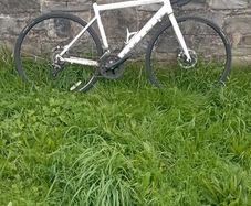 carrera road bike