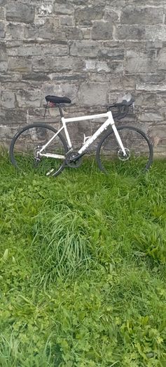 carrera road bike