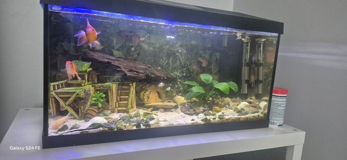 fish tank 80L
