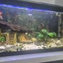 fish tank 80L Image 2