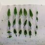 New Model Trees Pack C: ( Hornby Bachmann MicroScalextric wargames Scenic Lima Scalextric ) Image 2
