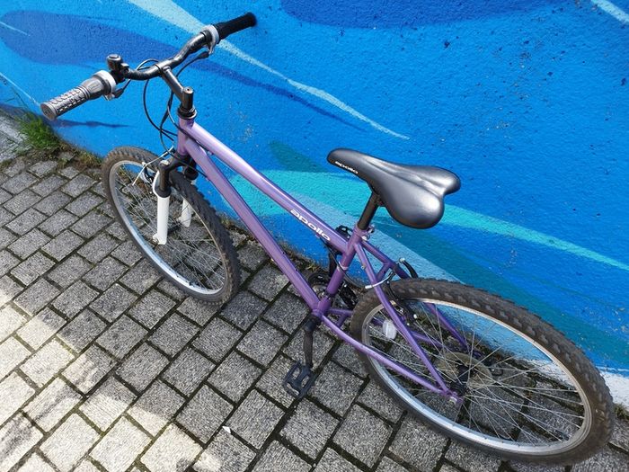 Apollo Mountain Bike