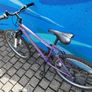Apollo Mountain Bike Image 3