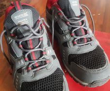 Regatta isotex size 8