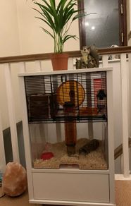 hamster cage