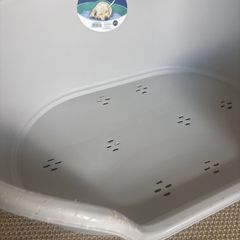Free Dog Bed Large