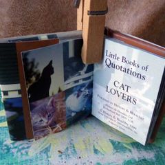 Cat Lovers Quotations For Fans of Our Feline Friends, miniature cat book