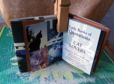 Cat Lovers Quotations For Fans of Our Feline Friends, miniature cat book
