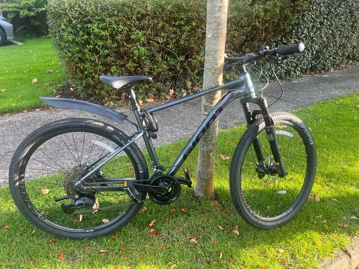 giant roam bike