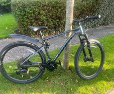 giant roam bike