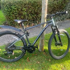 giant roam bike