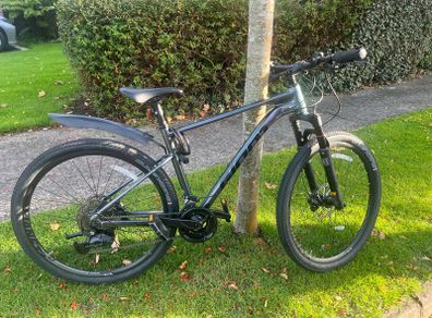 giant roam bike