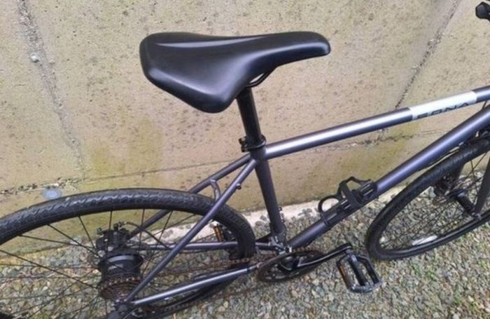 hybrid bike
