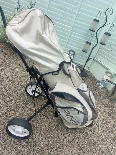 ladies starter golf set