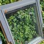 Vulex Window (skylight) Image 4