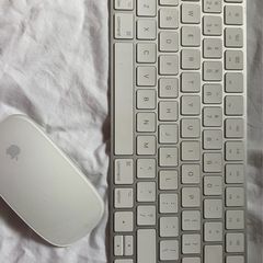 Magic Keyboard and mouse - lightening charge ports