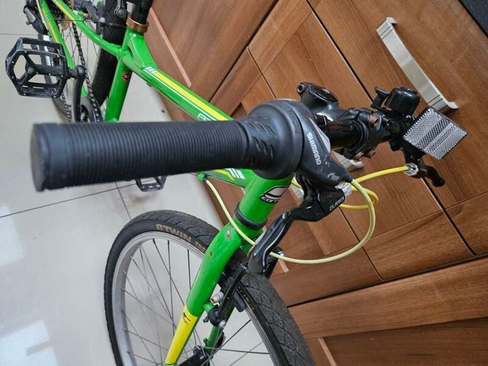 Carrera Abyss Kids 10.5" Alu frame bike