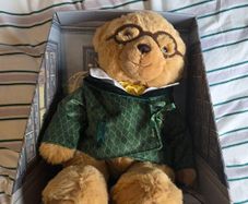 Harrods The Annual Bear 2023 - Interior Design Edition (Brand New In Box)