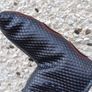 Scotty Cameron Image 7