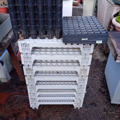 Planting Trays