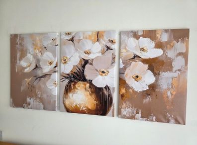 3 framed  large canvas 45x65cm each
