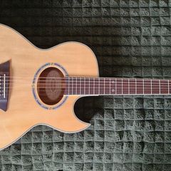 Washburn Festival EA20S Nuno Bettencourt Electro Acoustic, Natural