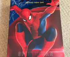 Hot toys Spider man Brand new Day