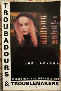 Troubadours and Troublemakers, Ireland Now: A Culture Reclaimed by Joe Jackson