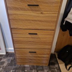 Shoe Cabinet