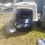 animal cage Image 2