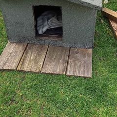 Dog kennel