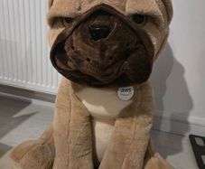 Large Bulldog Soft Toy