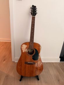 Guitar Samick LW