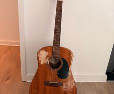 Guitar Samick LW