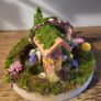 Fairy garden! Image 5