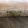 Vintage Set Of 6 EPNS Butter Knives Image 3