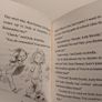 Judy Moody And Stink Children,s Books By Megan Mcdonald Image 7