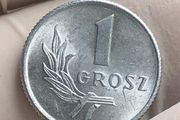 Poland 1 Grosz 1949