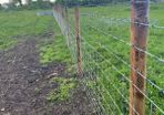 Fencing Contractor