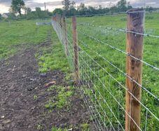 Fencing Contractor