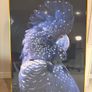 Large Bird Artwork Image 4