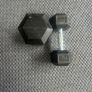 10kg dumbbell Image 2