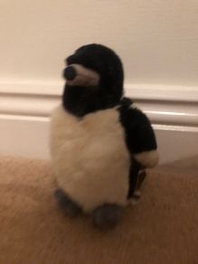 Bird teddy