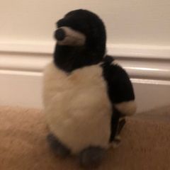 Bird teddy